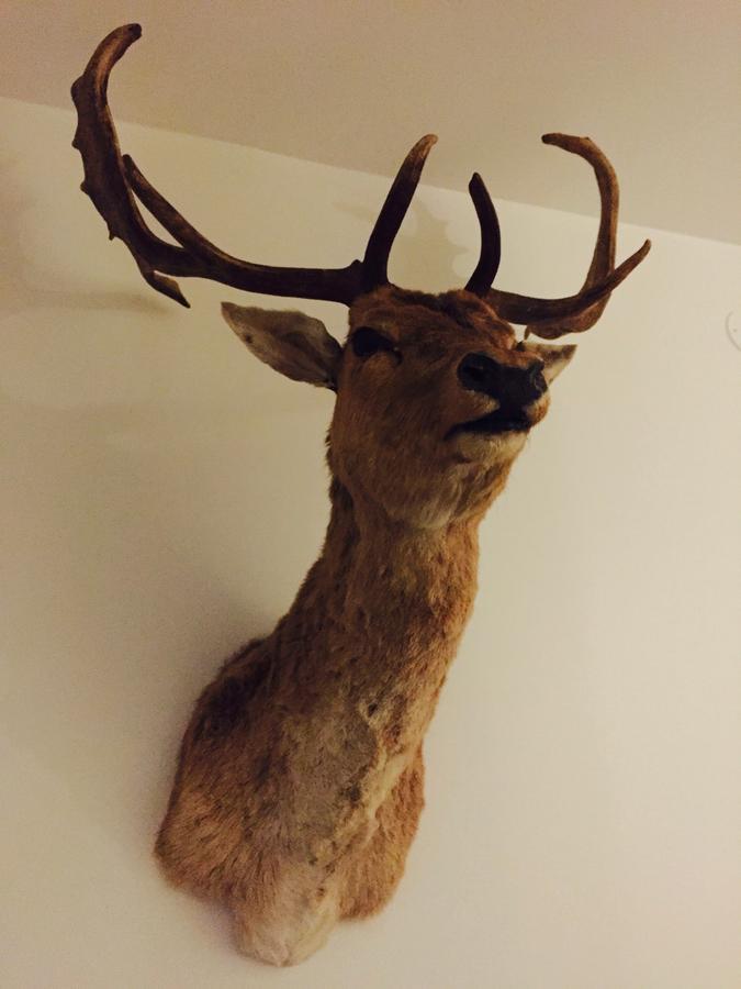 Hotel Mezzo Sälen Eksteriør bilde